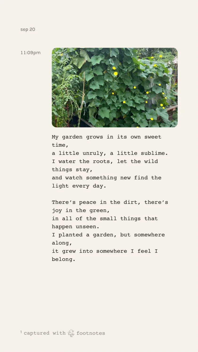 A shared garden note about growth, peace in the dirt and finding belonging among small unseen things.